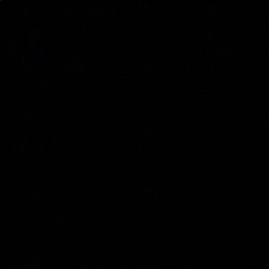 Meet your Posher, Evan